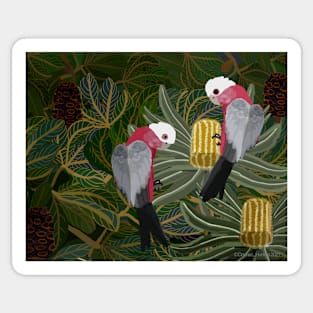 Galahs with Golden Banksias and Seed Pods Sticker